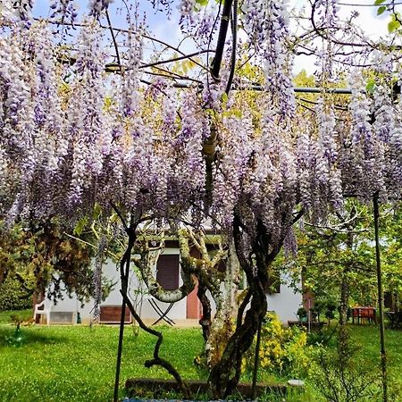 Casetta In Collina Sezze المظهر الخارجي الصورة