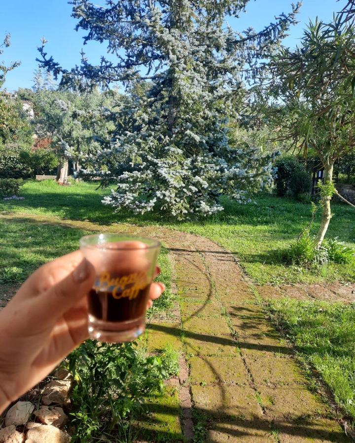 Casetta In Collina Sezze المظهر الخارجي الصورة