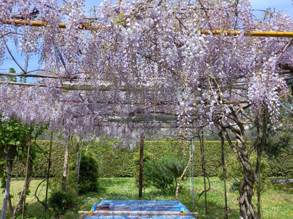Casetta In Collina Sezze المظهر الخارجي الصورة