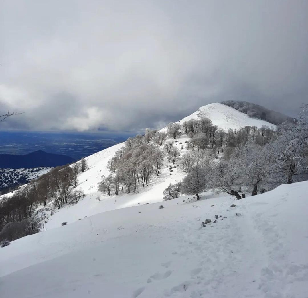 Casetta In Collina Sezze المظهر الخارجي الصورة