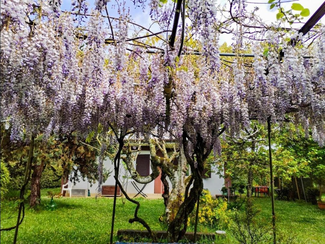 Casetta In Collina Sezze المظهر الخارجي الصورة